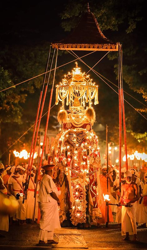 Kandy Esala Perahera: A Grand Celebration of Culture and Faith