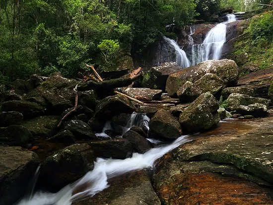 Sinharaja Rainforest Experience