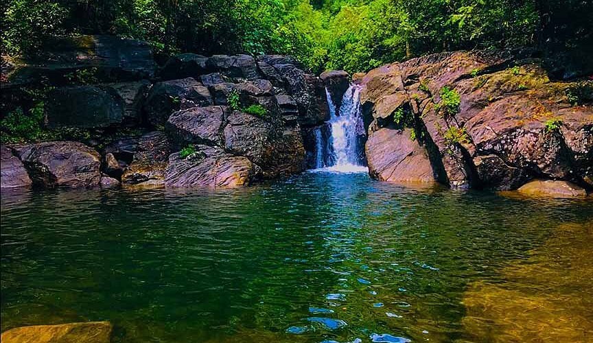 Polgampola Waterfall Day Tour from Bentota