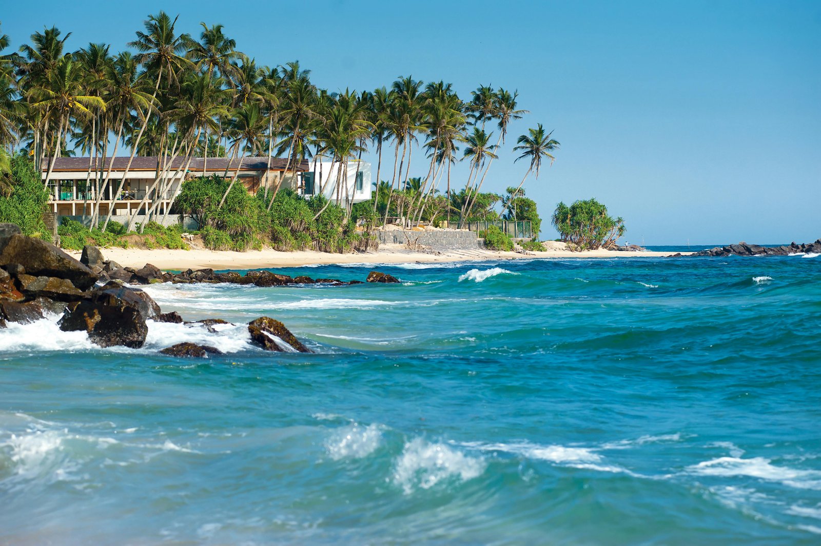 Sri Lanka Landscape