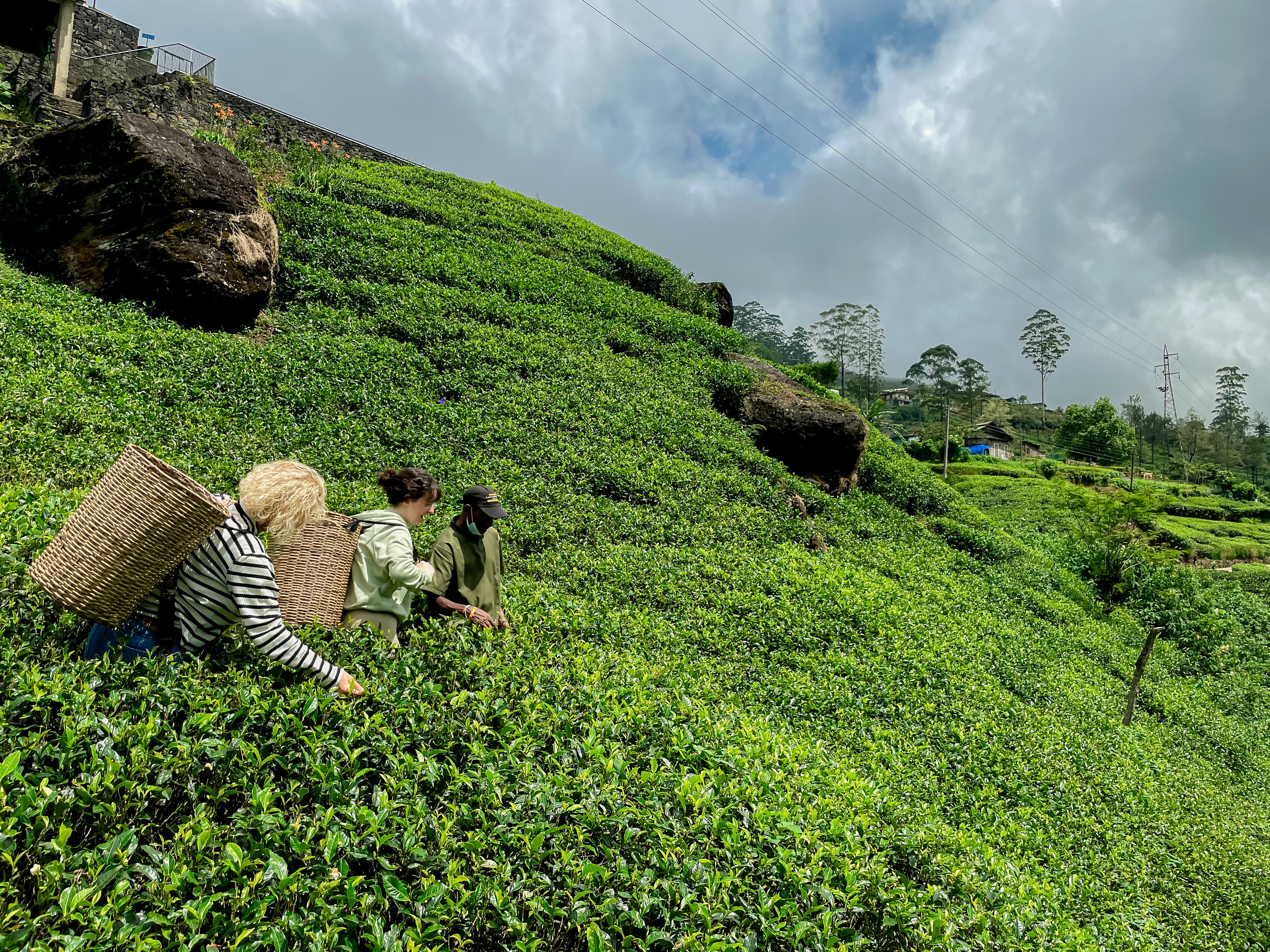 Sri Lanka Travel Gallery