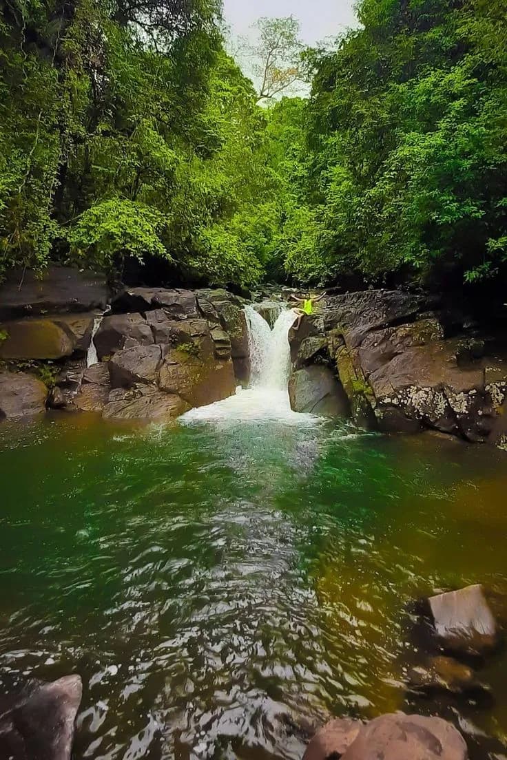 Polgampola Waterfall Day Tour from Bentota