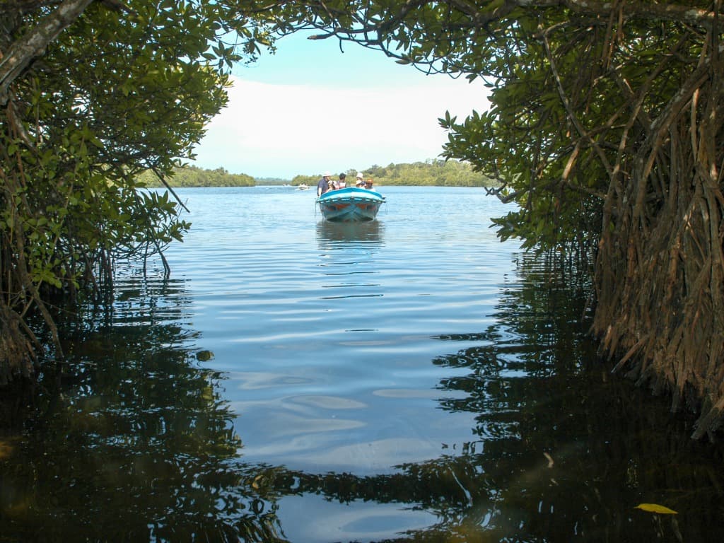 Bentota