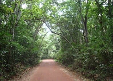 Kurunegala
