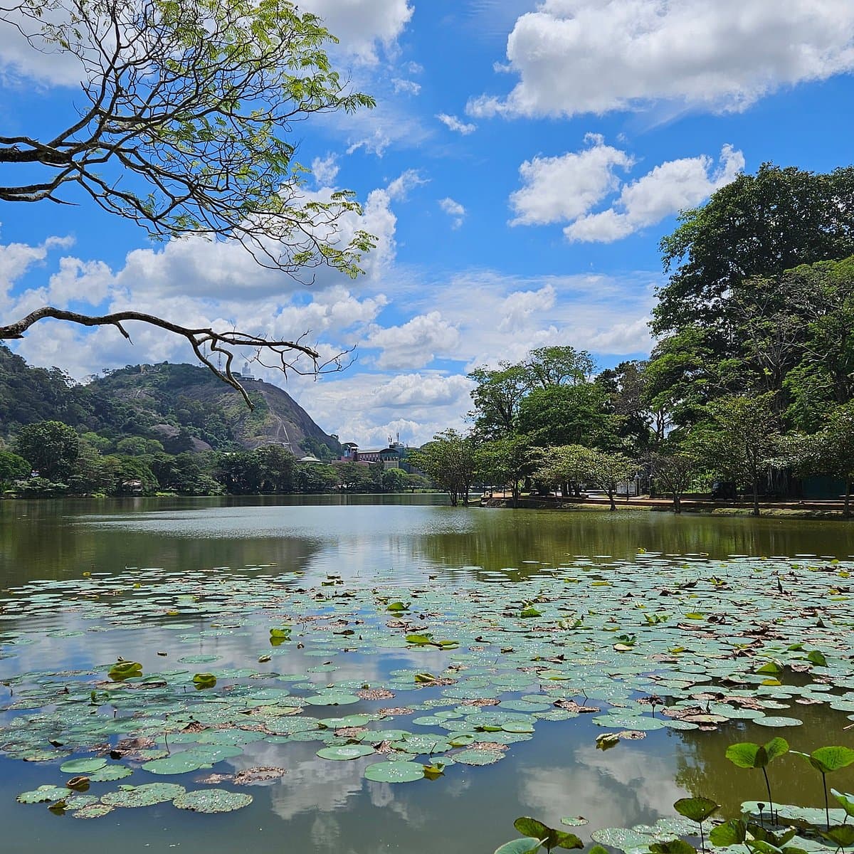 Kurunegala