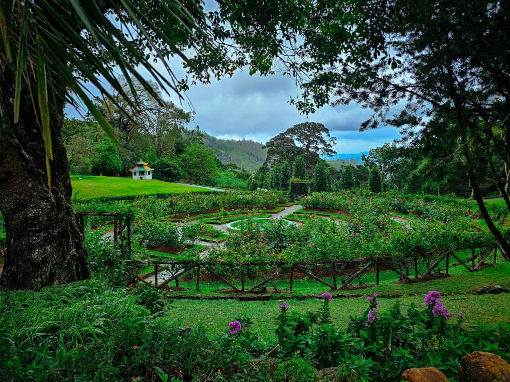 Nuwara Eliya