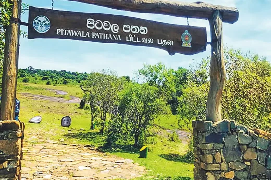 Pitawala Pathana
