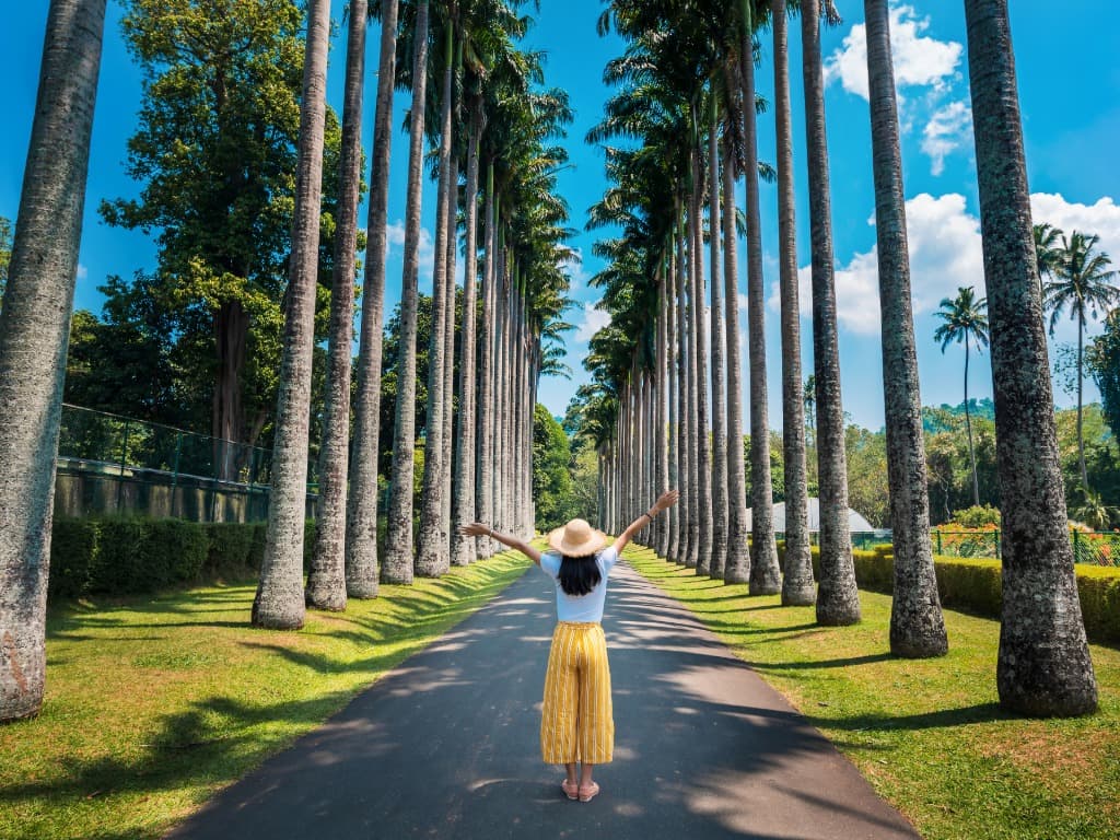 Kandy
