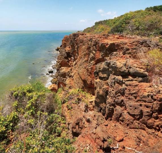 Wilpattu